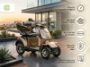 Seniorenmobil P4000, lithiová baterie, 25 km/h, 1000 W, Náhled obrázku produktu 18