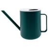 Stijlvolle Plantengieter -/ Bloemgieter - 900 ml - Groen Productafbeelding-voorbeeld 2