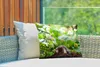 MuchoWow® Outdoor Kissen - Tier - Garten - Maulwurf - 50x30 Produktbild-Vorschau 3