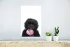 MuchoWow® Poster Affe - Kaugummi - Weiß - Für Kinder - Produktbild-Vorschau 5