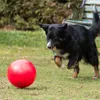 Treibball Ø 25cm rot Produktbild-Vorschau 3