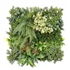 Mur végétal Rhea Décoration murale élégante avec plantes Voir les images du produit 1
