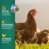 Agrarzone Legehennenfutter Premium Pellets 25 kg Produktbild-Vorschau 5