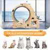 Tier-Intelligenzspielzeug Tierlaufrad Katzenlaufrad XXL mit Produktbild-Vorschau 7