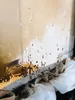 Ofen- und Kamin-Scheiben-Reiniger Spray 0,5 L Kamin,- und Produktbild-Vorschau 4