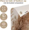 MuchoWow® Produktbild-Vorschau 3