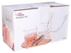 No-Brand-Whisky-Set aus Glas mit 4 Gläsern, Eiskübel und Produktbild-Vorschau 4
