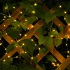 LED Deco vnitřní světelný řetěz Drát 20 kapek Vánoce na Náhled obrázku produktu 19