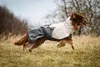 Non-stop dogwear Regenmantel Fjord raincoat 2.0 grau, Produktbild-Vorschau 19