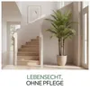 Meisterhome Kunstpalme XXL 250 cm – Extra große Tropische Produktbild-Vorschau 8