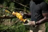 Dewalt DCMPS520P1-QW Akku-Astsäge 5,0Ah Produktbild-Vorschau 12