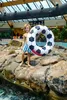 Swim Essentials Fußball- Schwimmring Produktbild-Vorschau 9
