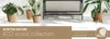 Öko-Holz Naturo Blumentopf, Beige, Braun, 24 cm x 19,5 cm, Produktbild-Vorschau 6