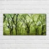 Coloray - Bild aus Glas - Glasbilder - 100 x 50 cm - Produktbild-Vorschau 2
