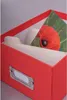 Pudełko Doerr UniTex WINDOW Red na 700 zdjęć 10x15 cm Podgląd zdjęcia produktu 2