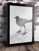 A framed black and white photograph of a bird standing on a sandy surface, displayed against a brick wall. Produktbild-Vorschau