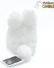 Mein Nachbar Totoro Nakayoshi Plüschfigur White Totoro 16 Produktbild-Vorschau 4
