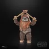 A Star Wars Black Series Wicket figure is shown against a black background. Anteprima dell’immagine prodotto