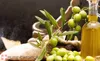 A bottle of olive oil next to olives and olive branches. Náhled obrázku produktu