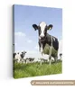 MuchoWow® - Leinwandbilder - Kühe - Gras - Tiere - Sonne - Produktbild-Vorschau 1