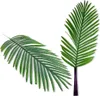 Deko-dadelpalmblad, 84 cm – Natuurgetrouw en flexibel Productafbeelding-voorbeeld 1
