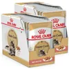 Royal Canin FBN Maine Coon Adult 24x85g Nassfutter in Soße Produktbild-Vorschau 1