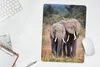 MuchoWow® Mauspad Mousepad Elefant - Tiere - Bäume - Natur Produktbild-Vorschau 5