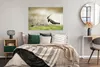 MuchoWow® Poster Vogel - Gras - Tiere - Natur - Kiebitz Produktbild-Vorschau 4