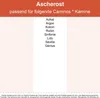 Kaminrost / Ascherost 280x160x30mm passend für Caminos ** Produktbild-Vorschau 2