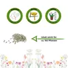 Romanasalat Xanadu Samen - Lactuca sativa - Produktbild-Vorschau 2