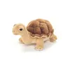 Tortue, environ 20 cm, 1pc Voir les images du produit 9