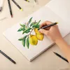 Súprava akvarelových fixiek Norberg & Linden XL Náhľad obrázku produktu 3
