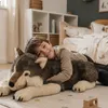 Wild Republic Wolf, Wolf Produktbild-Vorschau 5