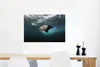 MuchoWow® Poster Junge Robbe im Atlantischen Ozean 90x60 cm Produktbild-Vorschau 5