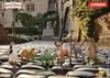 Schleich 14912 - Tomcat - Scuola di animali magici Anteprima dell’immagine prodotto 8
