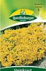 Steinkraut, Goldkörbchen Produktbild-Vorschau 1