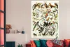 MuchoWow® Poster Vogel - Tiere - Natur 120x180 cm - Produktbild-Vorschau 3