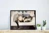MuchoWow® MuchoWow® Gerahmtes Poster Katze - Waschbecken - Produktbild-Vorschau 4