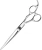 A pair of silver hair cutting scissors is shown against a white background. Podgląd zdjęcia produktu