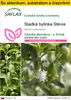SAFLAX Kultivačný set - Sladká bylinka Stévia - Stevia Náhľad obrázku produktu 1