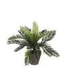 Mica Decorations Kunstliche Pflanze Cycaspalm - grun - 33 Produktbild-Vorschau 1