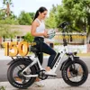 2025 20 Zoll Fat Tire E Bike, Klapprad Elektrofahrrad Produktbild-Vorschau 19