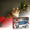 Kattenadventskalender 2026 - 24 dagen tot Kerstmis - 24 Productafbeelding-voorbeeld 2