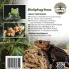 BioSphag Moss Muschio di sfagno cileno 1 litro per terrari Anteprima dell’immagine prodotto 2