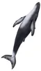 Mojo Fun Humpback Whale, 3 Jahr(e), SEALIFE, Grau, Weiß, Produktbild-Vorschau 5