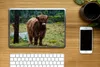 MuchoWow® Laptop Aufkleber Sticker Cover Schottischer Produktbild-Vorschau 2