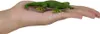 Mojo Wildlife Spielfigur Gecko - Kunststoff Echse Spielzeug Produktbild-Vorschau 5