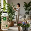 EcoDeco AloeGrow hnojivo pre izbové rastliny 1000 ml, Náhľad obrázku produktu 2