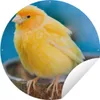 MuchoWow® Produktbild-Vorschau 1