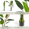 Umělý rajský pták Tropic, realistický - 180 cm Náhled obrázku produktu 5